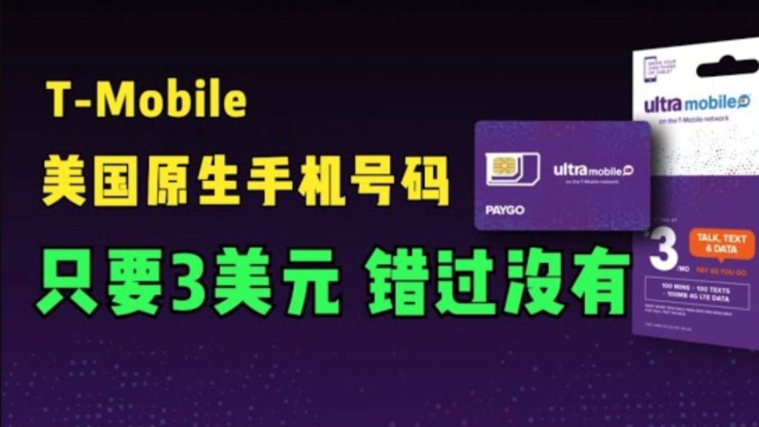 Ultra Paygo美国实体电话卡，月租3美元，送100条短信，100分钟通话，可转eSIM