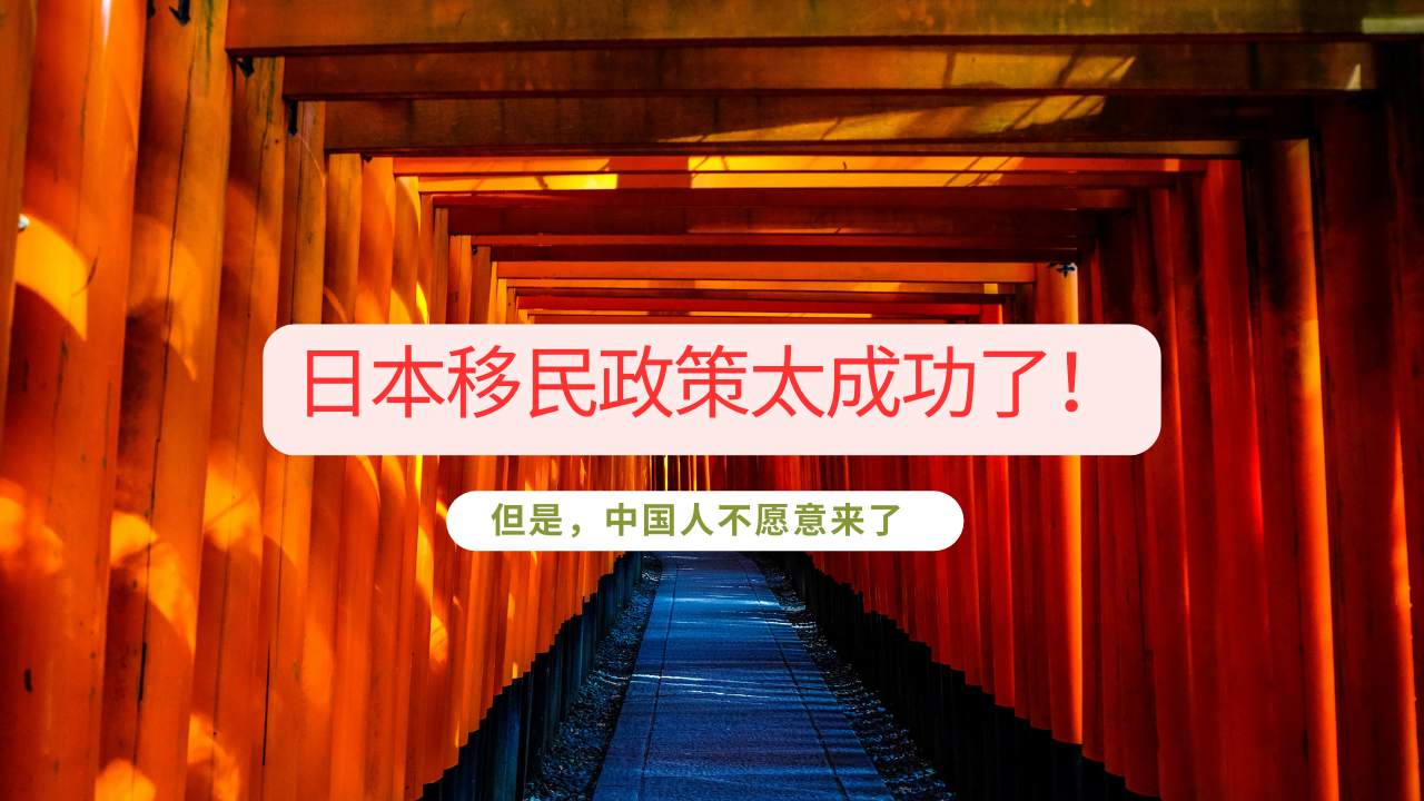 日本移民政策太成功了！我的同学都是20岁青壮劳动力！日本语言学校留学，日本经营管理签证